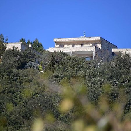 Villa Silvana Fasano Exterior photo
