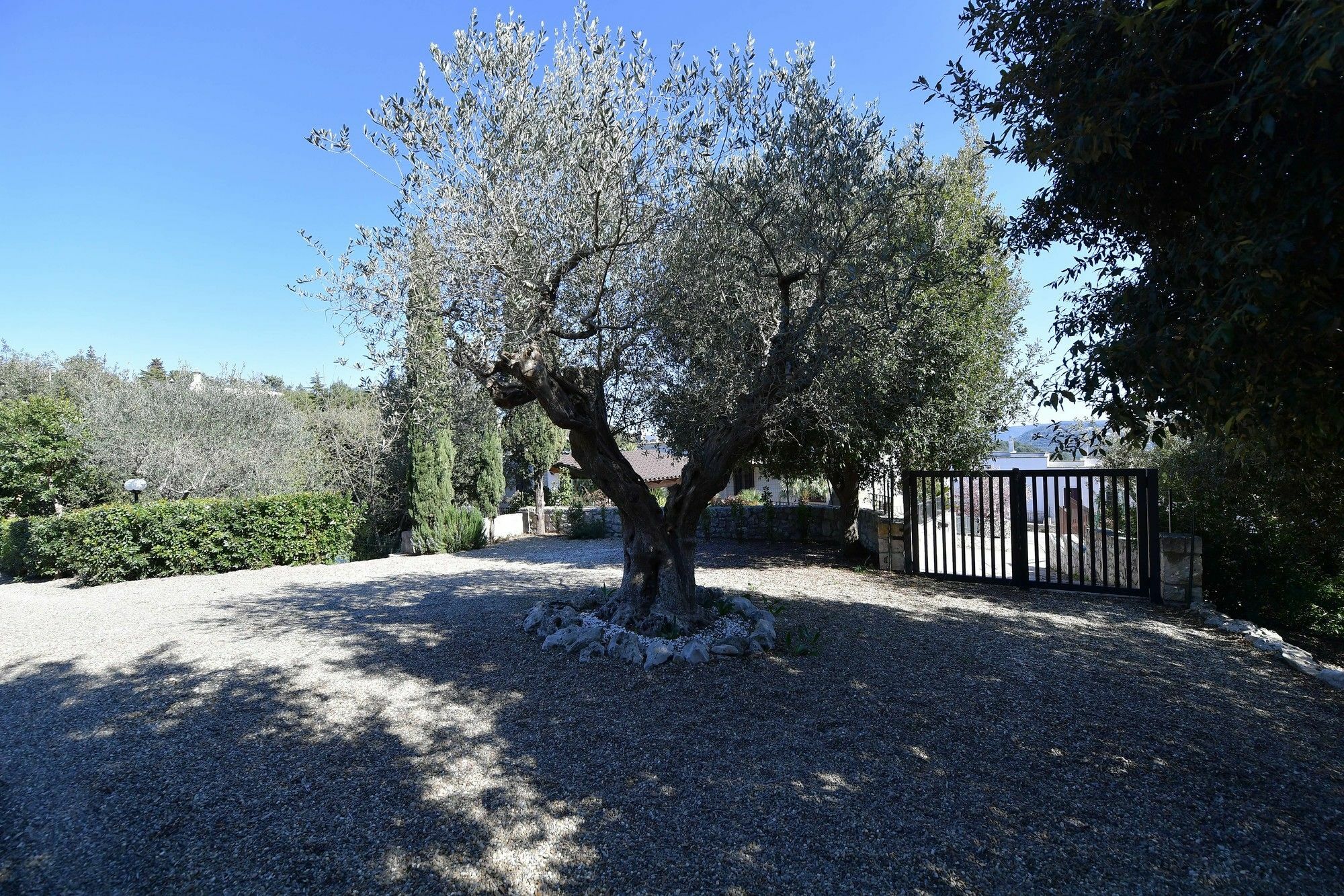 Villa Silvana Fasano Exterior photo